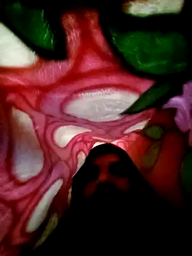 Nightservice27 online show from 02.22.25