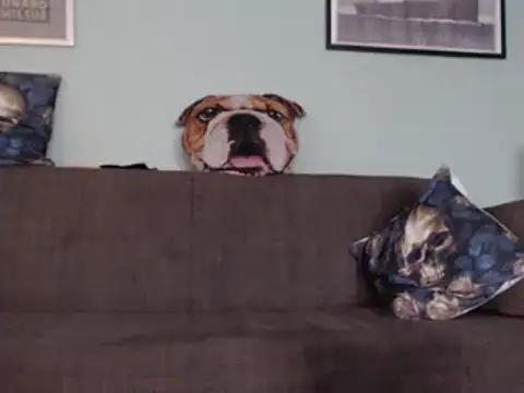 Snapshot of Astrid-Gilbert chatting on 02.05.25 Astrid-Gilbert online show from 02.05.25