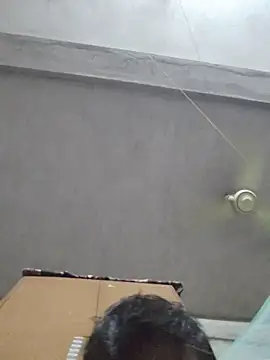 birds0641 online show from 10.12.25