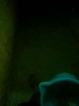 Night View online show from 11.14.25