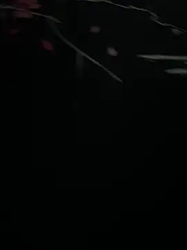 Mo 2003 online show from 01.28.25