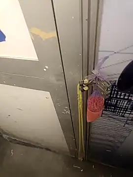 wadmma online show from 02.05.25