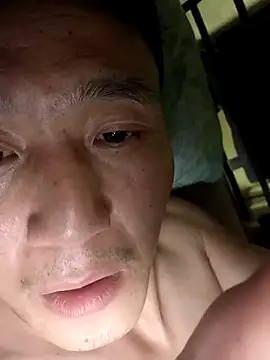 wadmma online show from 11.04.25