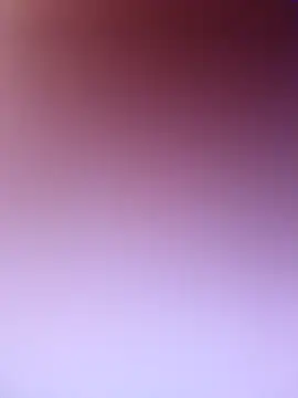 wadmma online show from 02.19.26