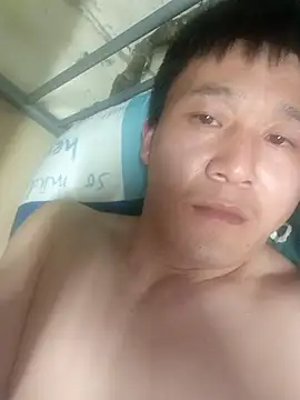 wadmma online show from 03.29.26