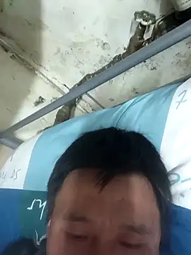 wadmma online show from 03.31.26