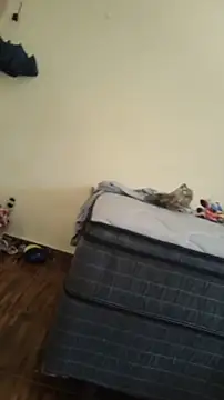 JapeDoBryan online show from 05.16.26