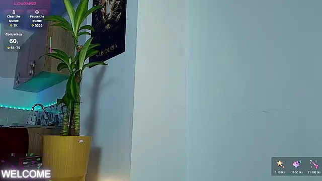 Snapshot of Dwayne_Brown chatting on 02.21.26 Dwayne Brown online show from 02.21.26