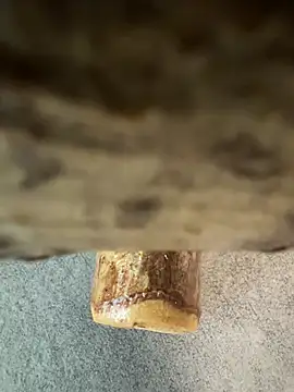 fuocovivo4 online show from 01.30.25