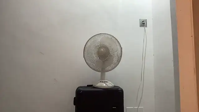 shineofcrazy online show from 10.10.25