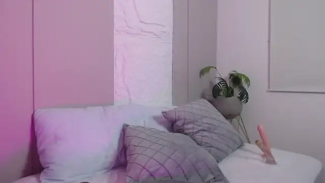 dalila harris online show from 02.12.26