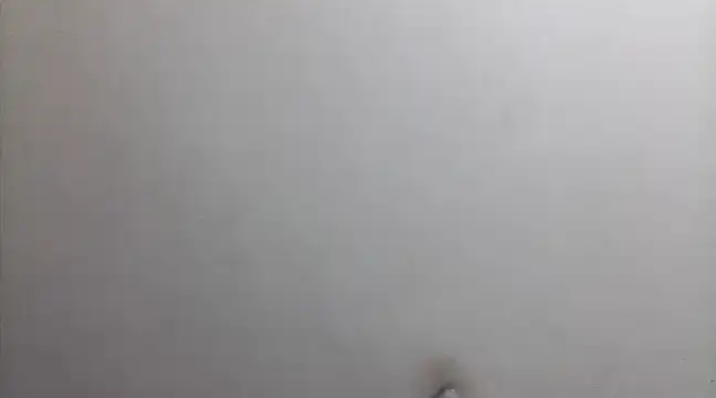 Snapshot of beatle666 chatting on 02.26.25 beatle666 online show from 02.26.25