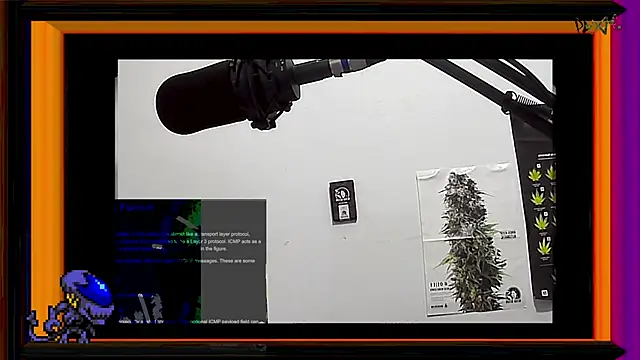 ReyDeBotones online show from 03.13.25