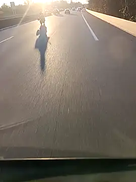 Dam70 online show from 12.04.25