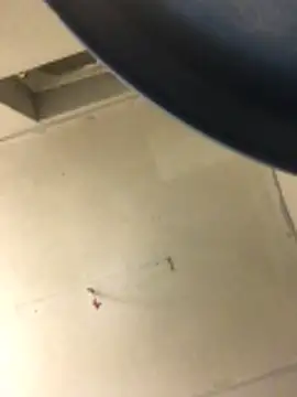 cumcum94 online show from 02.17.26