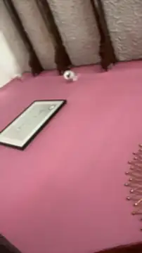 Valu euphoria online show from 11.28.25