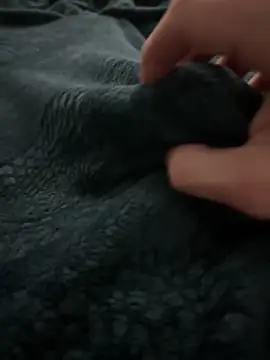 Snapshot of kishamis69 chatting on 02.13.25 kishamis69 online show from 02.13.25