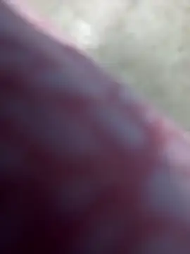 simrun70 online show from 11.16.25