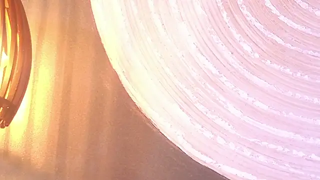 lissa palmer online show from 11.30.25