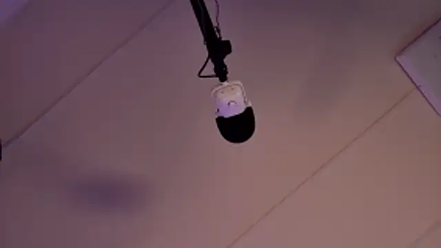 lissa palmer online show from 02.20.26