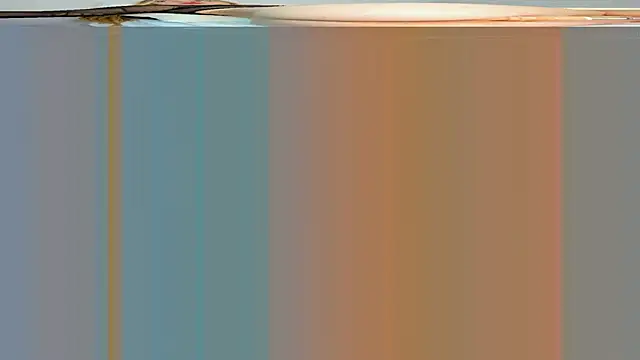 rouss witt online show from 03.07.25