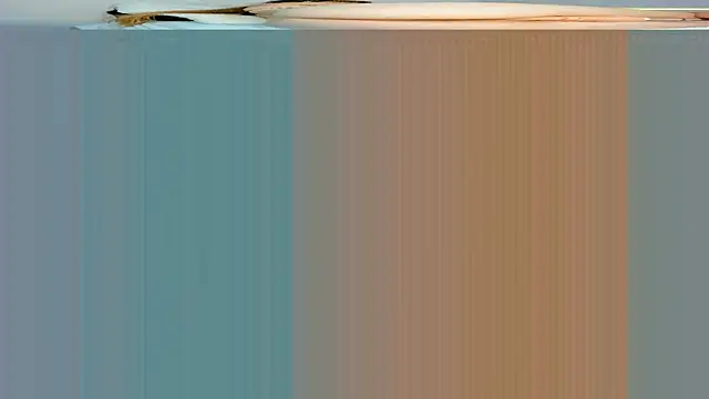rouss witt online show from 03.07.25