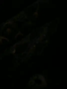 leonard  123 online show from 02.06.25