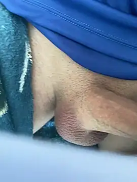 obranquinho21cm online show from 03.10.25