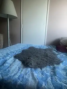 Budibudi5 online show from 10.12.25