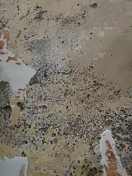 urrubybaby online show from 02.21.25