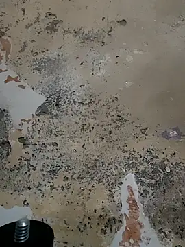 urrubybaby online show from 02.23.25