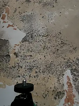 urrubybaby online show from 03.11.25