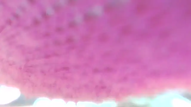 Sweetieanalxxx online show from 04.05.26