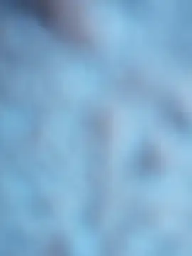 maialani online show from 10.06.25