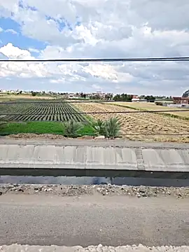 Loly2025 online show from 04.07.26