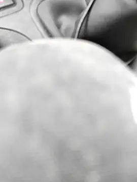 stfbi online show from 02.24.25