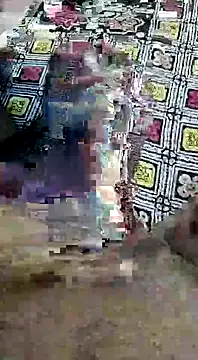 desi pb02 online show from 09.17.25