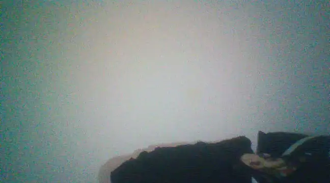 Snapshot of Otravidacol chatting on 02.20.25 Otravidacol online show from 02.20.25