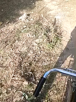 bairobunde online show from 02.07.26