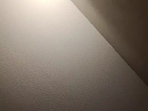 taterae online show from 11.23.25