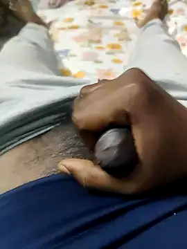 wildfun  online show from 03.02.25