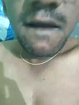 wildfun  online show from 03.08.25