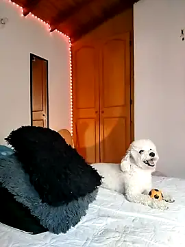 morenosiam online show from 11.23.25