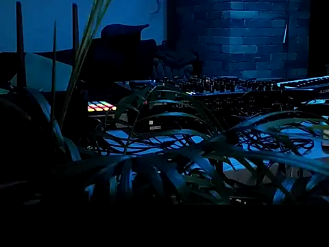 gryzoon online show from 06.29.26