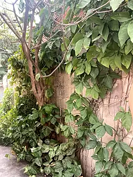 twinks 28 online show from 01.14.26