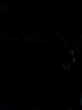 black77SL online show from 12.19.25