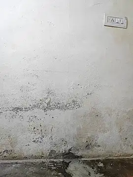 pallu telgu kannada online show from 03.04.26