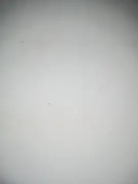 LISA 089 online show from 10.15.25