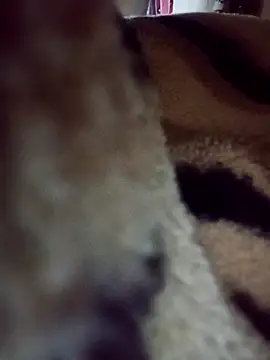 Snapshot of karabokau21 chatting on 09.26.25 karabokau21 online show from 09.26.25