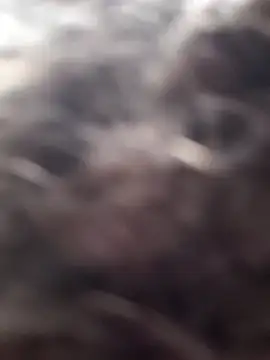 littledick947 online show from 03.16.26